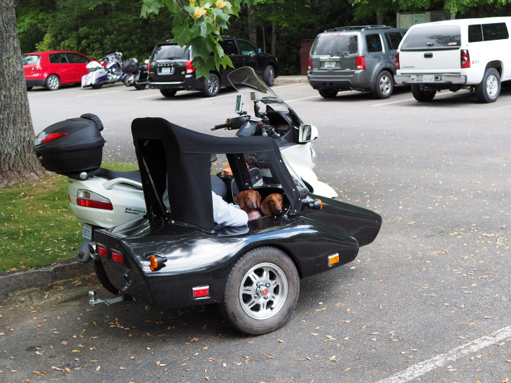 gallery/17claypark14