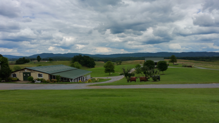 gallery/17claypark19